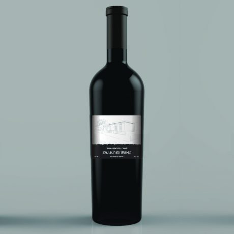 Botella 15- Tannat Extremo